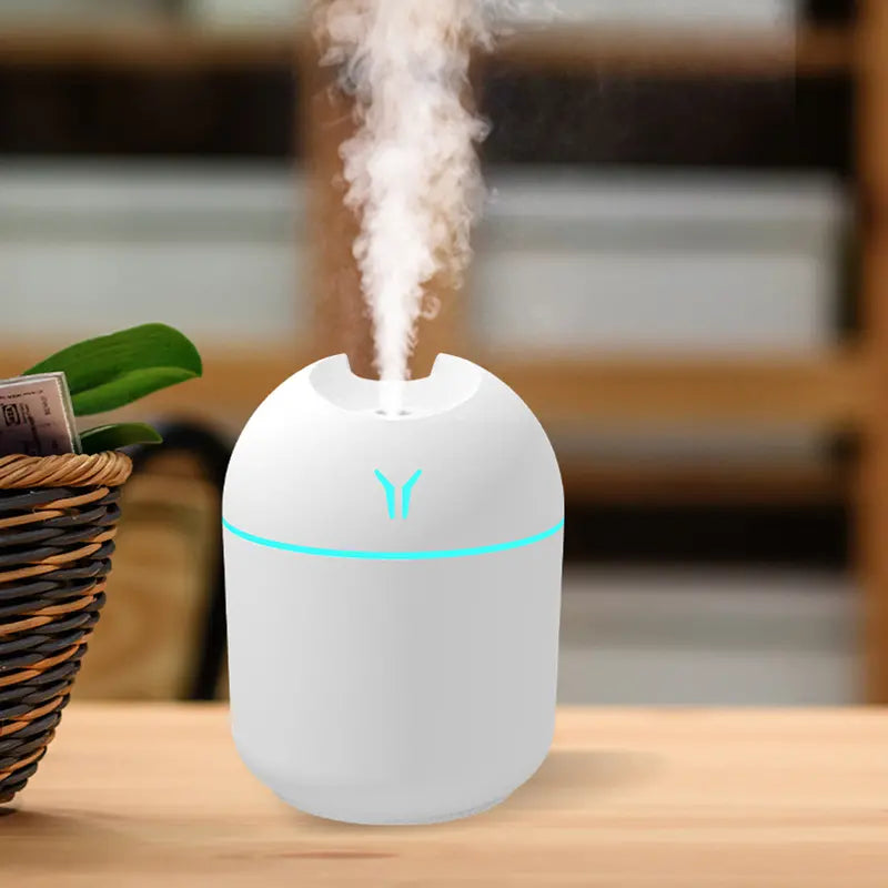 Mini Room Lighted Humidifier